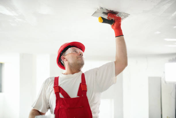 Best Post-Remediation Verification Testing  in Pea Ridge, AR